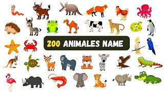 200 Animals And Birds Name || Animals Vocabulary