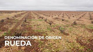 Spanish Wine Regions: Rueda