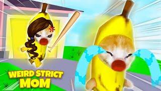 Banana Cat RAN AWAY From His STRICT MOM!  Baby Banana Cat Compilation | Happy Cat Crying MEME 