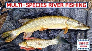 Float Fishing and Lure Fishing the River Ivel