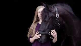 How to take black background photos with your horse