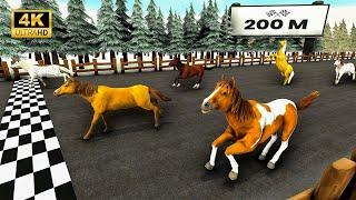 200 Meters Epic Animal Race, Elephant, Zebra, Tiger,, Horse | 3d Animal Racing | Racing animal