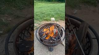 How do you like your marshmallows cooked for s’mores ? #smores #roastingmarshmallows #fire #family