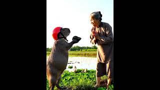 Bà và Capybara | Đi bắt ỐC