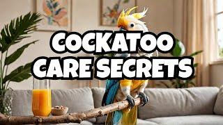 The Ultimate Cockatoo Care Guide