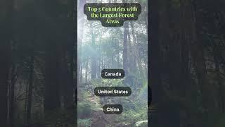 Top 5 Countries with The Largest Forest Areas in The World #CurioVerse #shorts #forest