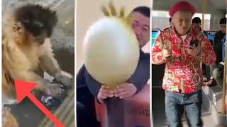 #viral comedy videos #viral worlds largest library of clean comedy#2021