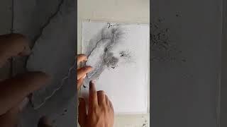 How to draw two peacock with graphite pencil easiest way.