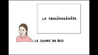 La cancérogenèse