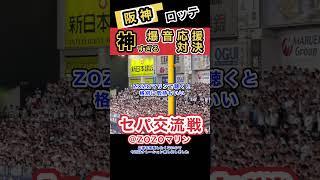 【爆音応援】ロッテ阪神の交流戦｜日本一の応援合戦が「神すぎる」