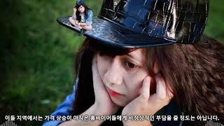밴쿠버TV   캐나다 팬데믹 기간 집장만 여건…BC, 온타리오, NS에서 가장 나빠져