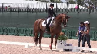 3 Tips to Immediately Improve Your Dressage Scores