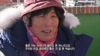 한국인의 밥상 - 진해만의 금덩이, 피조개. 20160303