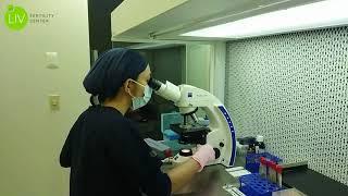 Sperm Analysis At LIV Fertility Center In Mexico, IVF Technology In Use