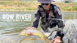 Bouncing Browns | BOW RIVER in MAY [Calgary, AB, CANADA]