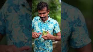 This is for mango lovers