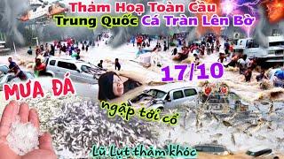 Thảm Hoạ  toàn cầu ,Trung Quốc cá tràn lên bờ,Úc Mưa Đá, Malaysia ngập sâu tới c.ổ năm Thìn sao