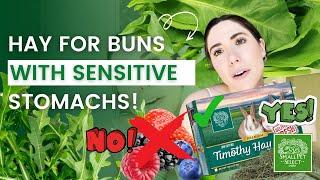 Attention Rabbit Owners! What Hay is BEST for Sensitive Bun?