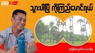 သွားပါပြီ ကိုကြည်မောင်ရယ် ( အဖြစ်အပျက်လေးတစ်ခု)