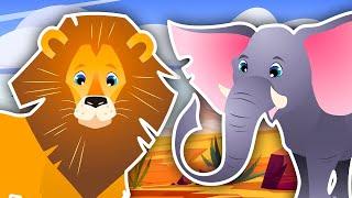 We're Going on a Safari! | Animal Sound Song | Kids Learning Videos