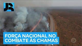 Força Nacional é autorizada a ajudar no combate aos incêndios florestais em seis estados do país