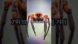 세상에서 가장 치명적인 독을 가진 동물 TOP 10