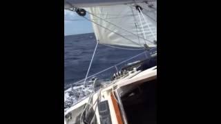 Catalina 36 Sunday Sail