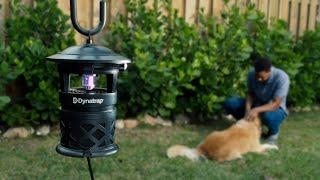 How to Use the Dynatrap 1/2 Acre Outdoor Insect Trap