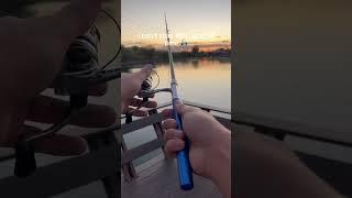 Always fishing with this  #fishingvideo #fishing #viralvideo #chill #fish #bigfish #fishinggear