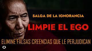 Adquiere TODAS LAS VIRTUDES DE TU SER limpia el ego y Elimina las falsas creencias que te perjudican