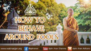 How to Behave Around Fools | Friday Dhamma Videos | 26 August 2022