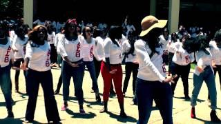 DELTA SIGMA THETA YARD SHOW AT SOUTHERN UNIVERSITY SPRING 2012!