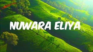 Nuwara Eliya 4k Video | Nuwara Eliya Sri lanka | Nuwara Eliya Travel Places English Songs