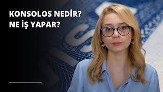 Konsolos Nedir? Ne İş Yapar?