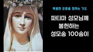 [파티마 성모님] 평화와 회계, 파티마 성모님께 봉헌하는 성모송100송이 ㅣ특별한 은총을 청하는 기도ㅣ치유의 기도ㅣ마음의 평화를 얻는 기도ㅣ픔격있는 삶 #세레나의치유의숲 #성모송