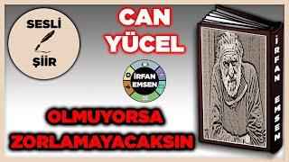 SESLİ ŞİİR | Olmuyorsa Zorlamayacaksın - Can Yücel | İRFAN EMSEN