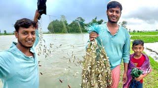 বর্ষার বৃষ্টিতে মাঠে জাল পেতে আজ রেকর্ড পরিমানে মাছ পেলাম।। Rainy day village fishing vlog ।।