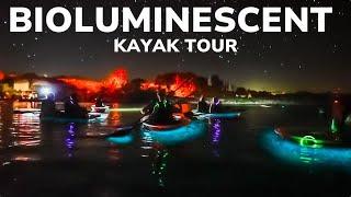 Witness the Bioluminescent Waters in Titusville, Florida!