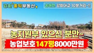 강화대교 접근성이 좋은 송해면 토지매매