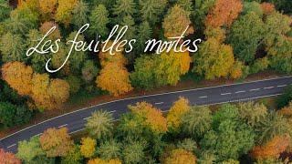 Les feuilles mortes — Autumn Leaves