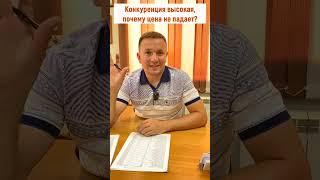 Почему списать долги не ставится дешевле?  Списание долгов через банкротство - 2023
