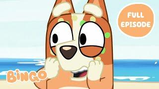 Bingo at the Beach! ️ | The Beach - Bluey Full Episode | Bingo - Official Channel