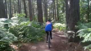 Northern England's finest female MTBers showing their skills around Clipstone Forest