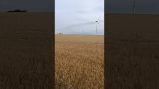 #farming