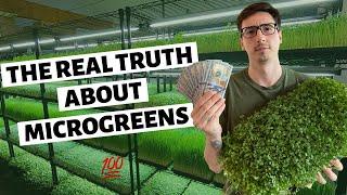 The REAL TRUTH About Growing Microgreens For Profit