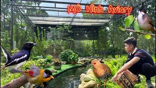 Chiêm Ngưỡng Aviary rộng 80m2 với thảm Thực Vật Xanh và nhiều loài chim đẹp || Đạt Bird TV