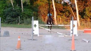 Chase Me Charlie (Bareback High Jumping/Puissance)