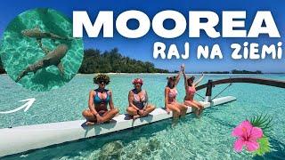 MOOREA – RAJ NA ZIEMI! 