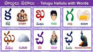 Telugu Hallulu with Words | హల్లులు - పదాలు | Learn Telugu Consonants (Alphabets) for Beginners