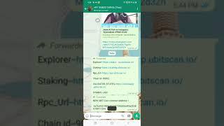 HOW TO Add a Blockchain #ubitcoin #unitymetatoken #crypto